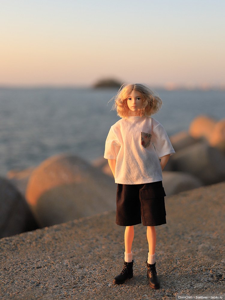 Мои новенькие — Куклы Momoko и Ruruko (Petworks