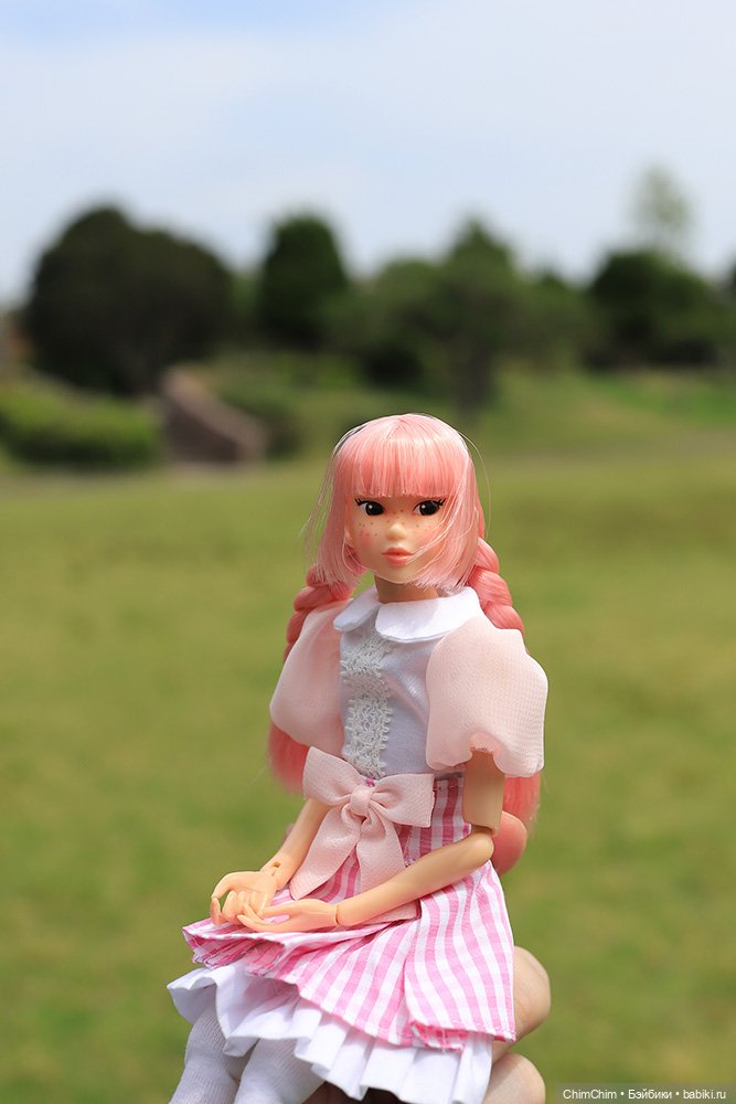 Мои новенькие — Куклы Momoko и Ruruko (Petworks