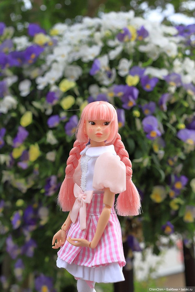 Мои новенькие — Куклы Momoko и Ruruko (Petworks