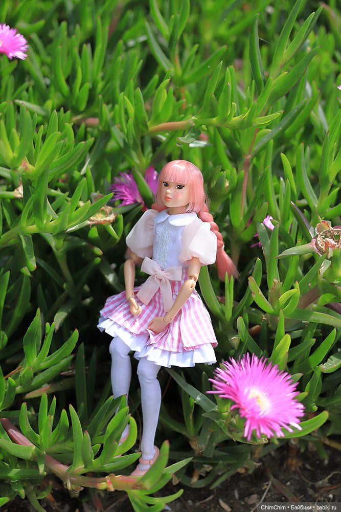 Мои новенькие — Куклы Momoko и Ruruko (Petworks (фото 8)