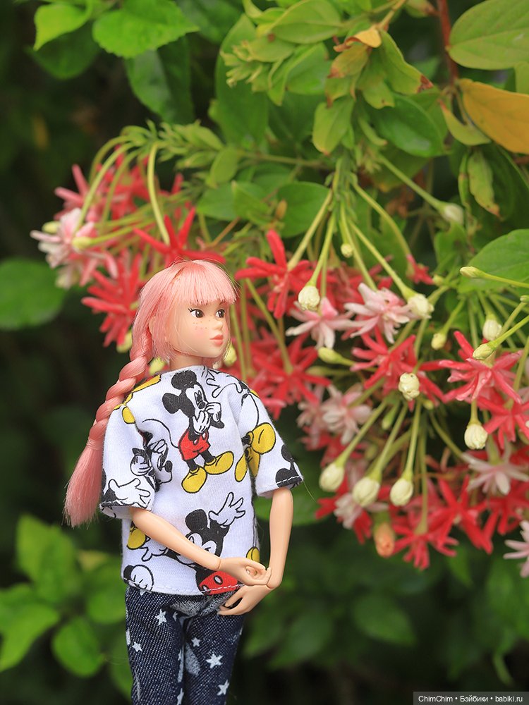 Отдых на море — Куклы Momoko и Ruruko (Petworks