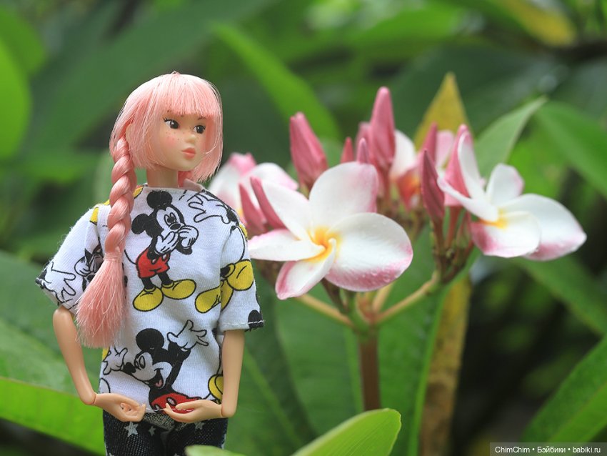 Отдых на море — Куклы Momoko и Ruruko (Petworks (фото 7)