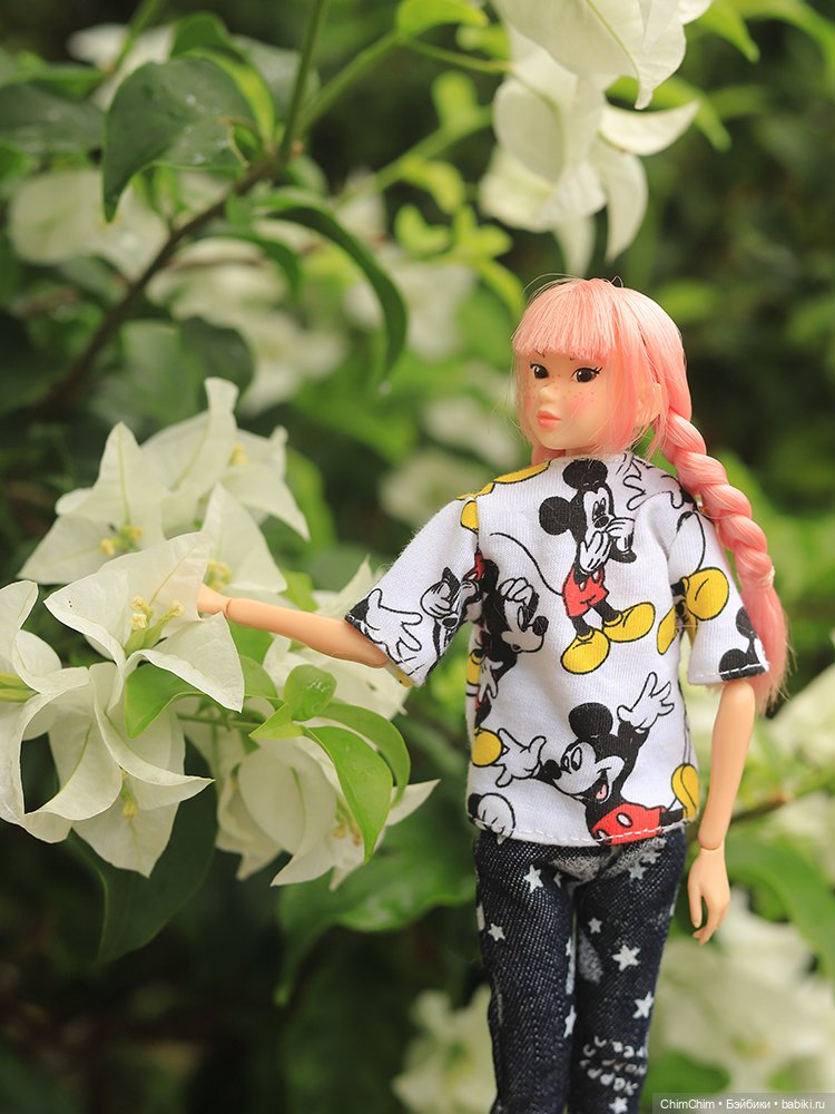 Отдых на море — Куклы Momoko и Ruruko (Petworks