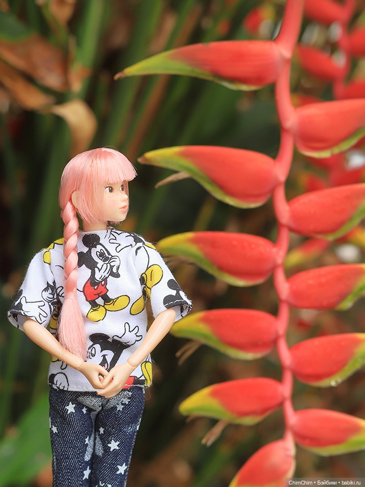 Отдых на море — Куклы Momoko и Ruruko (Petworks