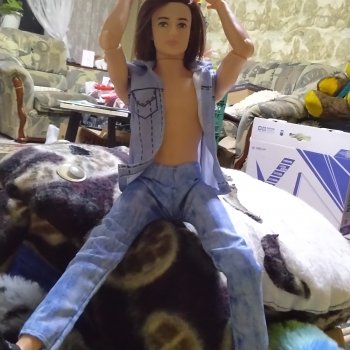 Новичок в коллекции