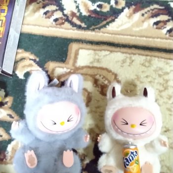 Мои Labubu-шки, их довольно много.