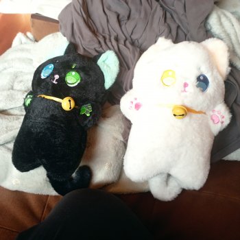 Ко мне приехали кошечки.