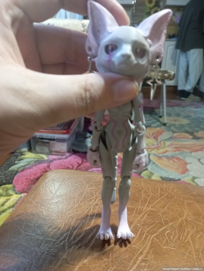 Кошечка приехала ко мне — 3D