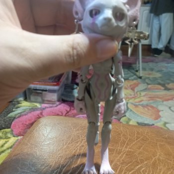 Кошечка приехала ко мне