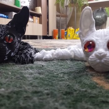 Мои печатные котики, о которых я долго молчал.