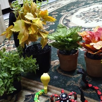 Ужас, чего бывает...