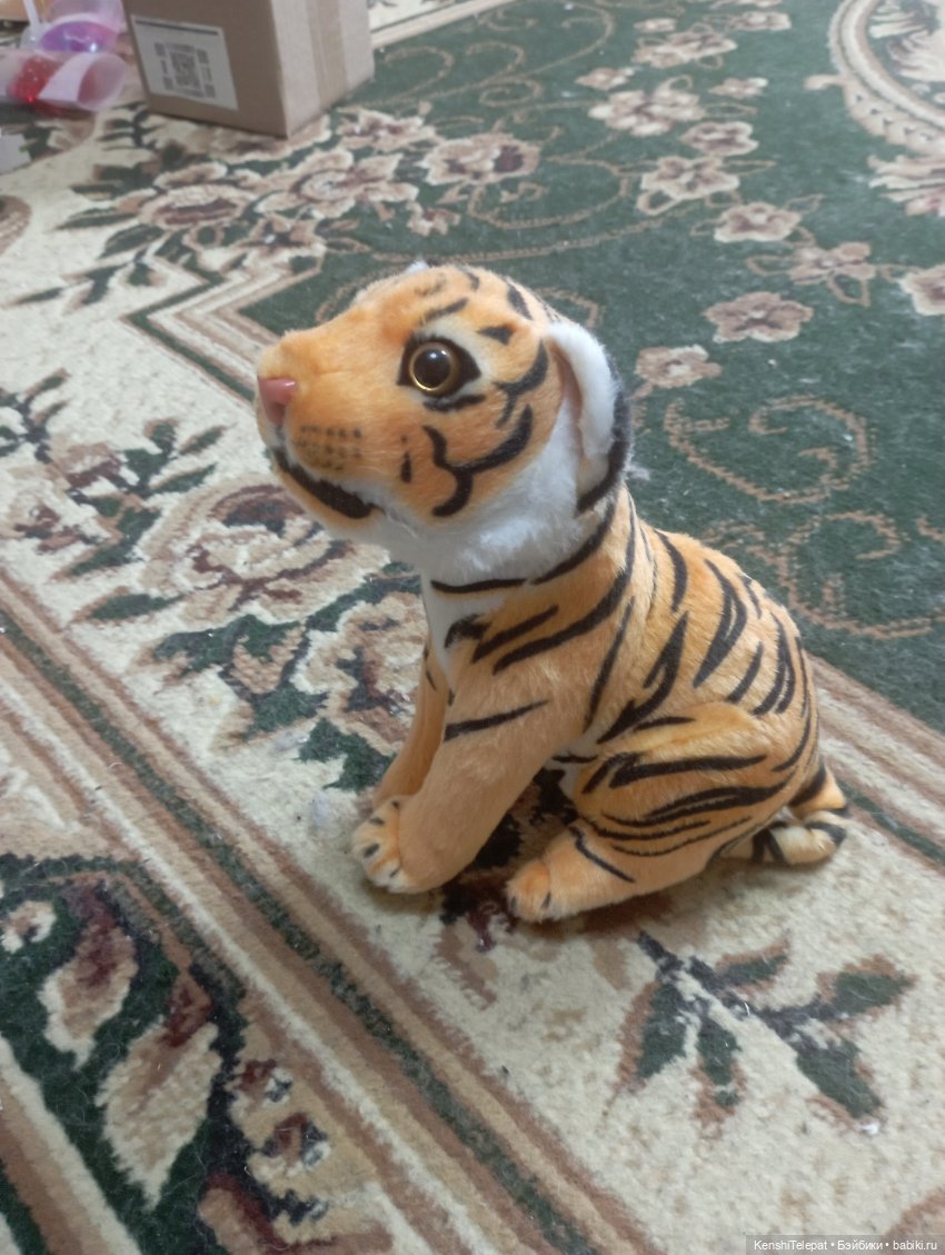 Мои котики и их разнообразие | Бэйбики Мои котики и их разнообразие (фото 3)