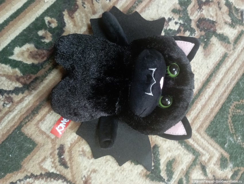 Мои котики и их разнообразие | Бэйбики Мои котики и их разнообразие