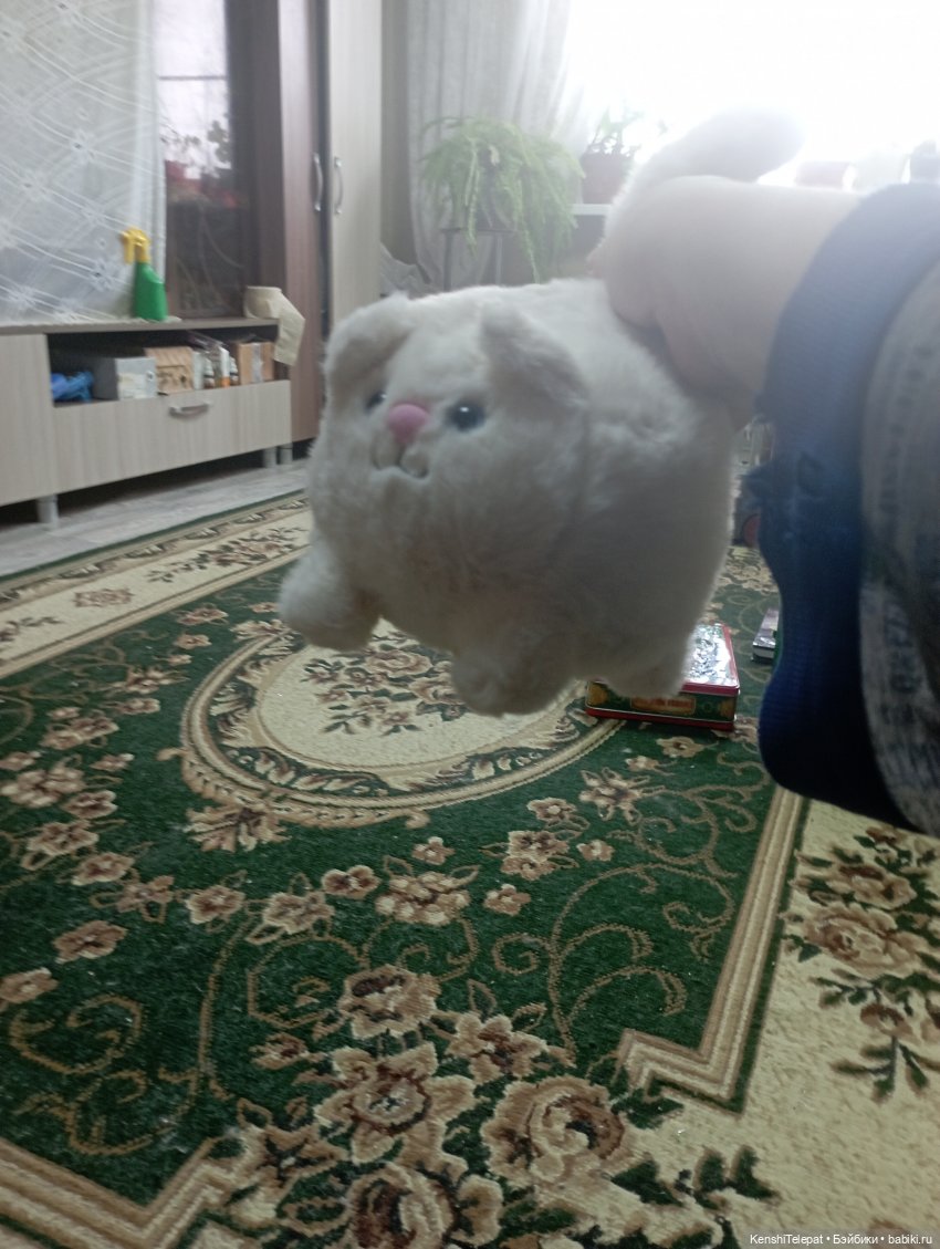 Мои котики и их разнообразие | Бэйбики Мои котики и их разнообразие (фото 6)