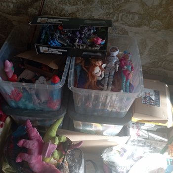 Если вы не знали секрет моих игрушек.