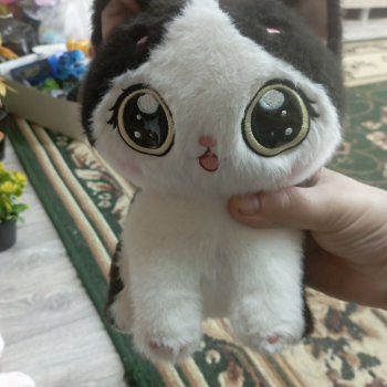 Мои котики и их разнообразие.