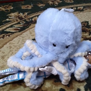 Что сегодня случилось, не поверите...