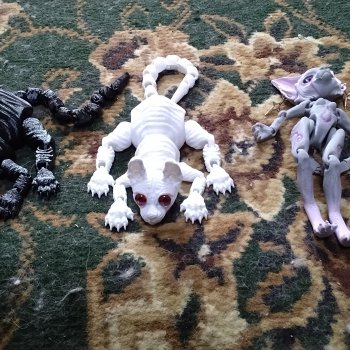 Кто заменяет мальчиков/Кена при играх с моими куклами, которые меньше 1/6?