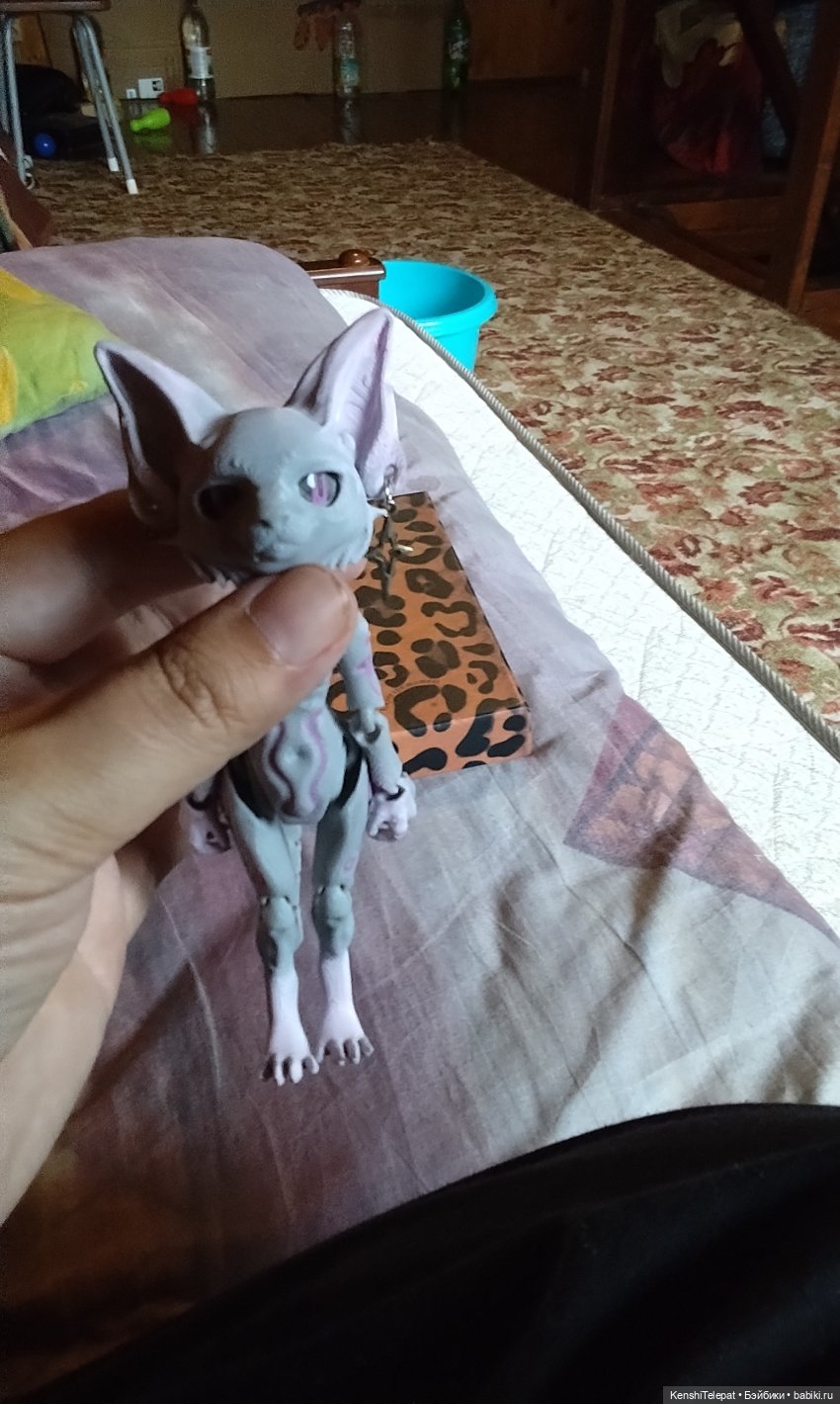 Мои котики. Есть и плюшевые, и печатные