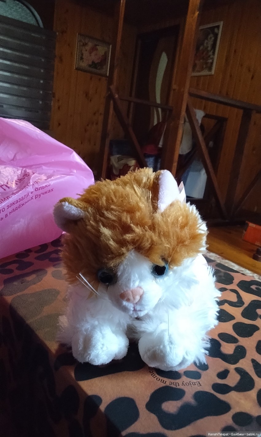 Мои котики. Есть и плюшевые, и печатные