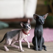 Котята от Юлии Гасс