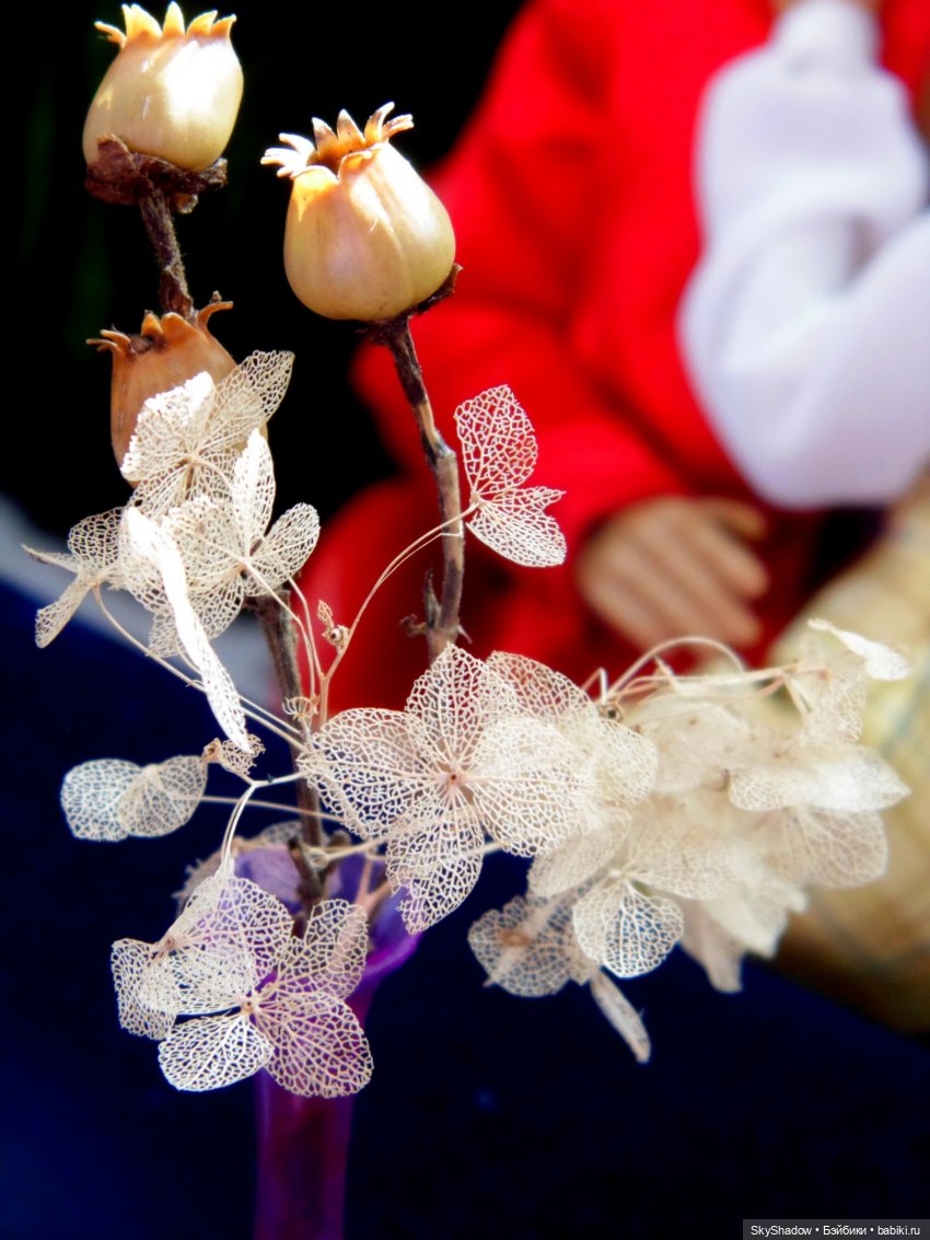 1 серия. Shadow. Насчёт вечеринки (фото 7)