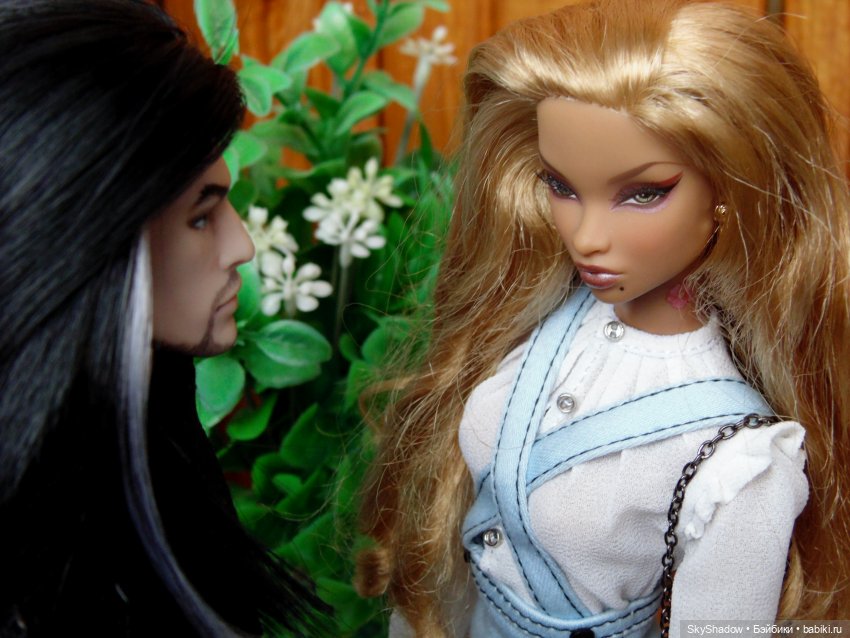 Shadow. Краткое содержание первого сезона (фото 3)