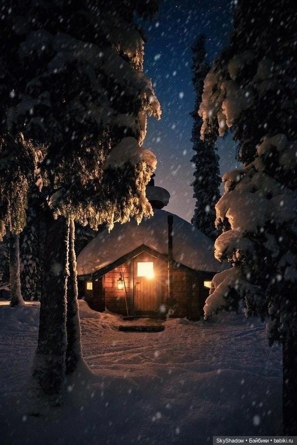 1 серия. Сезон 2. Shadow. Я твоя жена (фото 4)