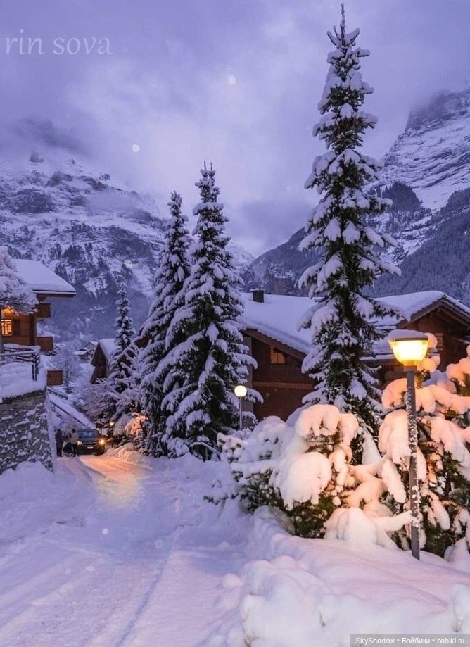 2 серия. Сезон 2. Shadow. Хочу свою свободу (фото 7)