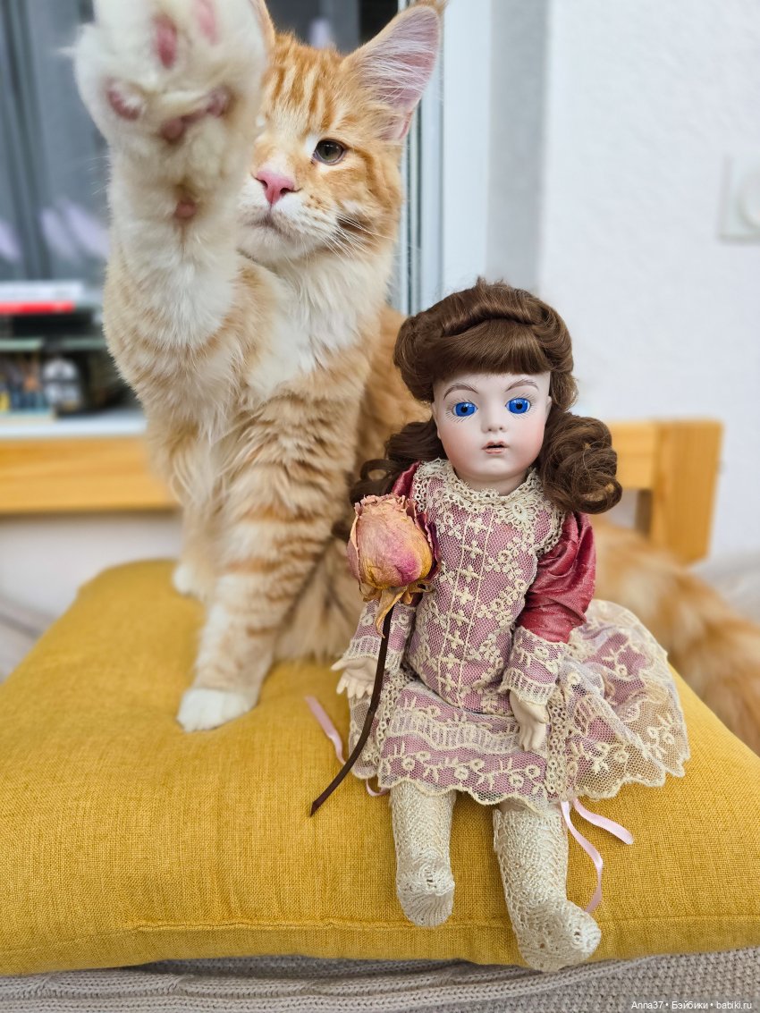 Мечтательная Брю — Редкие антикварные куклы и реплики: воск (фото 3)