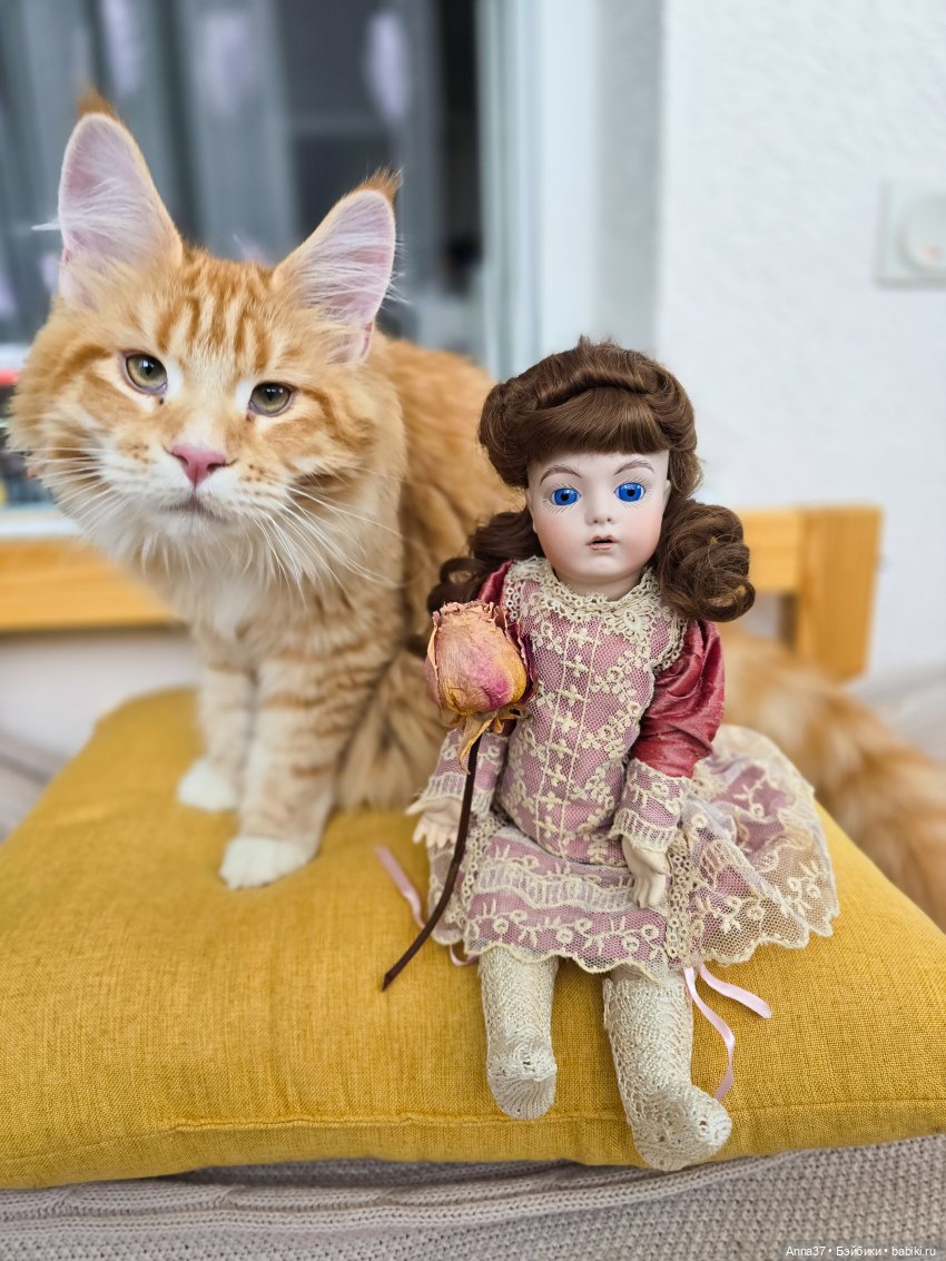 Мечтательная Брю — Редкие антикварные куклы и реплики: воск (фото 9)