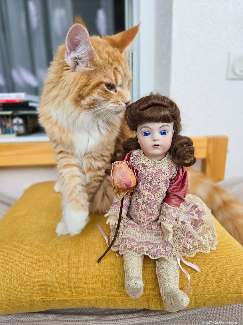 Мечтательная Брю — Редкие антикварные куклы и реплики: воск (фото 2)