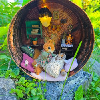 В гости к белочкам