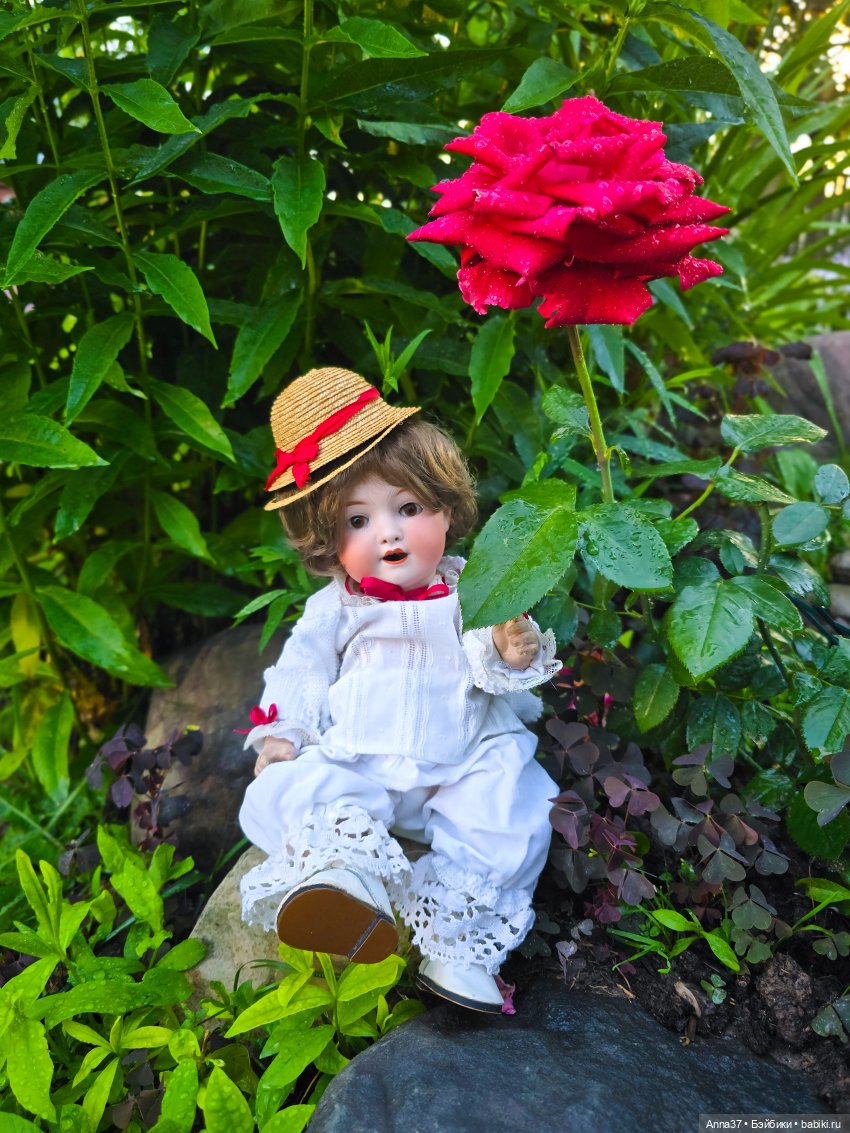 Малыш Heubach Koppelsdorf🥰