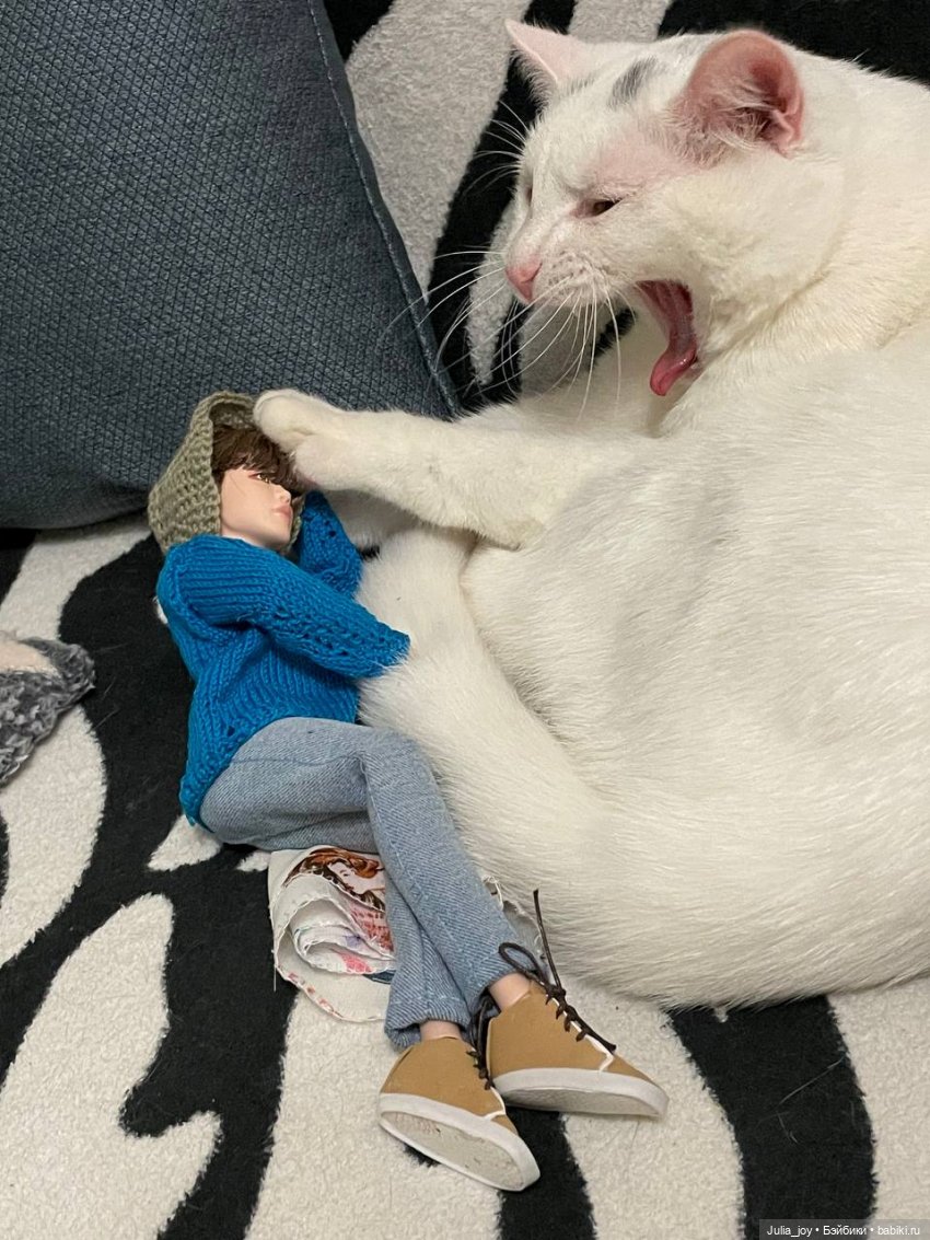 Чимин, Шуга и Пиксель – мои любимцы (фото 5)