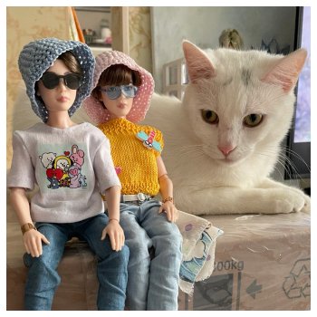 Чимин, Шуга и Пиксель – мои любимцы