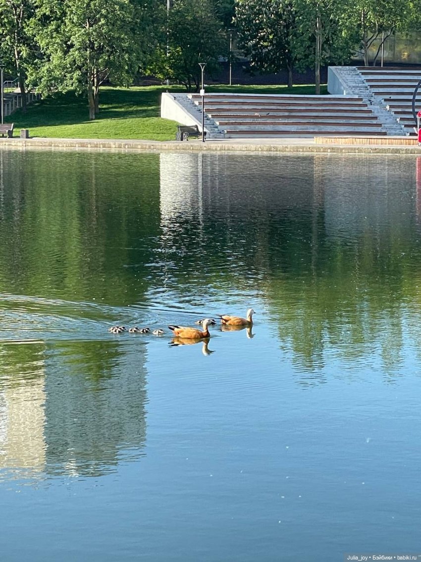 Уличные тренировки — Куклы BTS (БТС) от Mattel: K