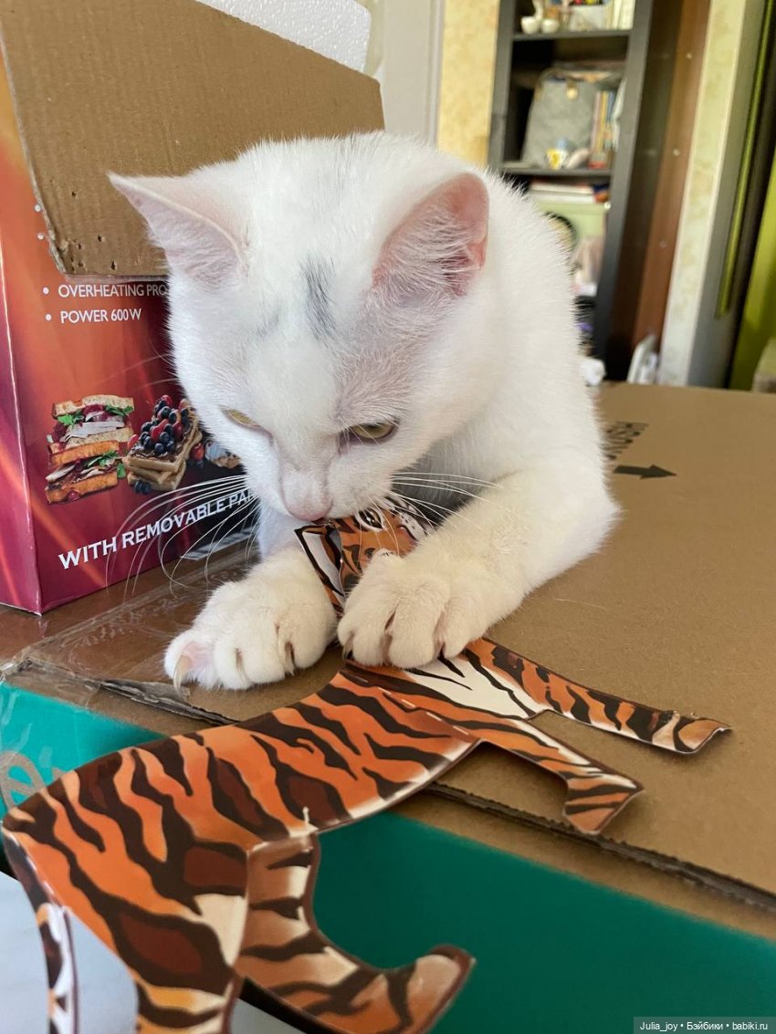 «Когда тигры курили…» — Куклы BTS (БТС) от Mattel: K (фото 3)