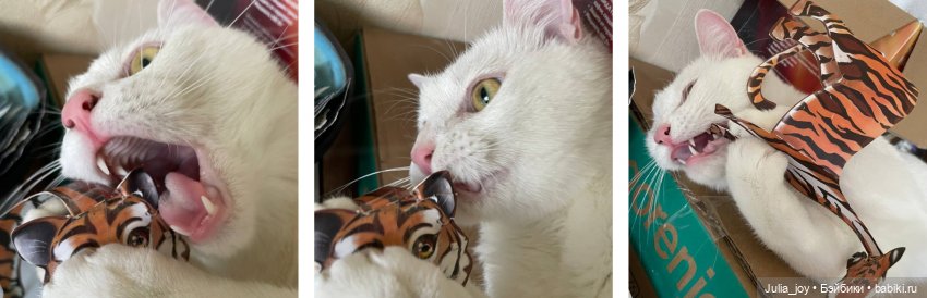 Преступление и наказание или Воспитательные работы (фото 4)