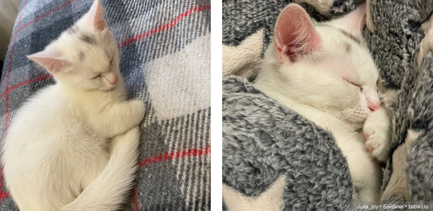 День рождения Пикселя — Куклы BTS (БТС) от Mattel: K (фото 3)