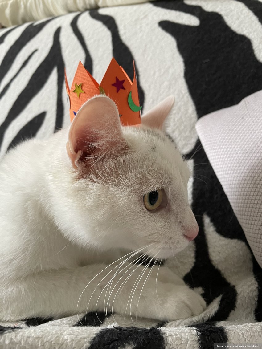 Спасибо от Пикселя🫶🏻