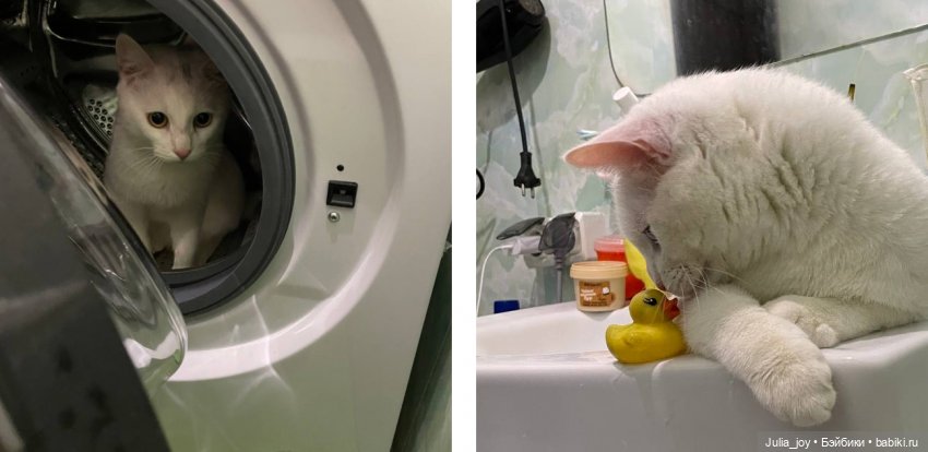 День рождения Пикселя — Куклы BTS (БТС) от Mattel: K (фото 8)