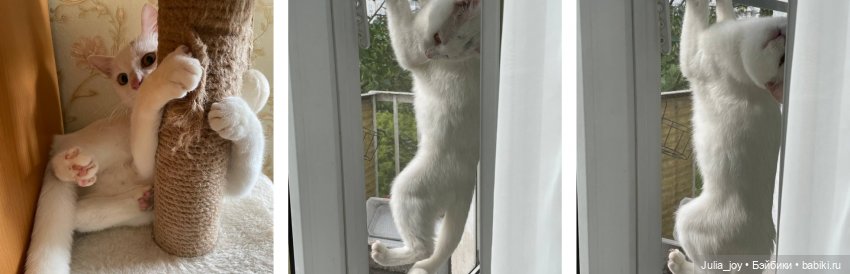 День рождения Пикселя — Куклы BTS (БТС) от Mattel: K (фото 7)