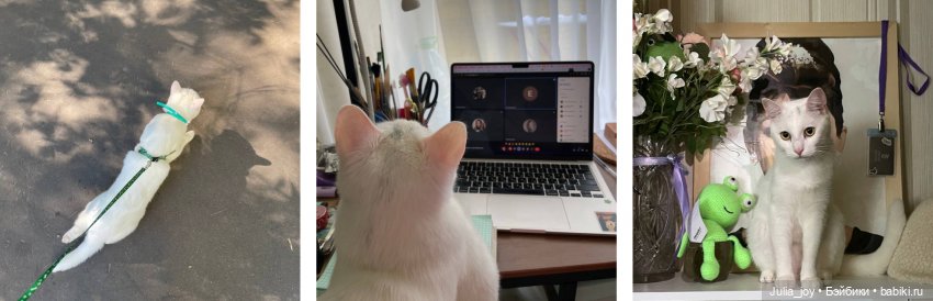 День рождения Пикселя — Куклы BTS (БТС) от Mattel: K (фото 9)