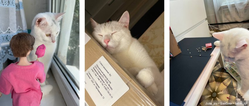 Когда стаф в отпуске или как шли съемки клипа к АвгустФесту