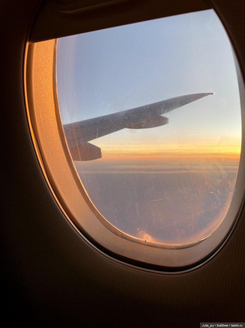 Охота на питерских львов и не только