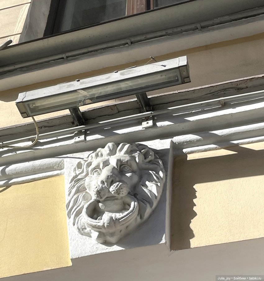 Охота на питерских львов и не только (фото 5)