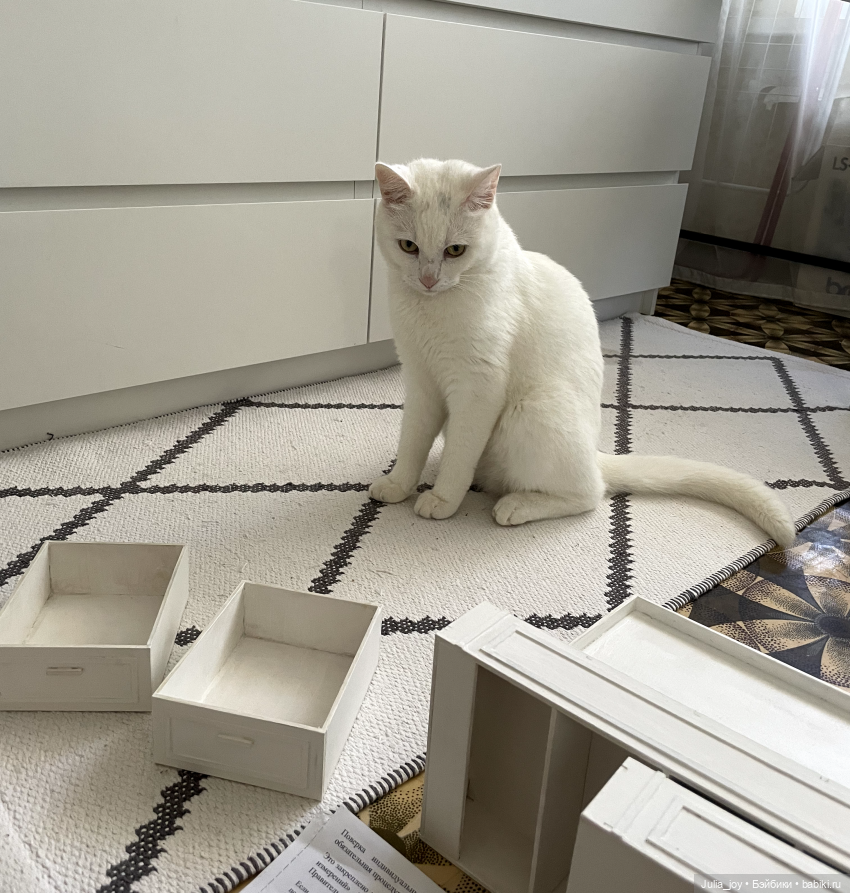 Концепция одной стемянки — Куклы BTS (БТС) от Mattel: K (фото 5)