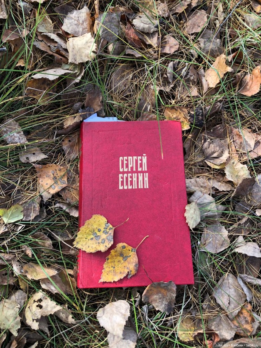 Закружилась листва золотая… (фото 4)