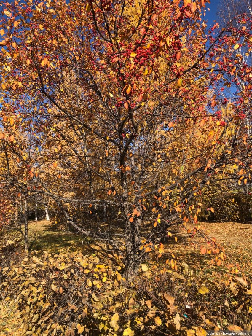 Осенние краски-раскраски — Куклы BTS (БТС) от Mattel: K (фото 3)